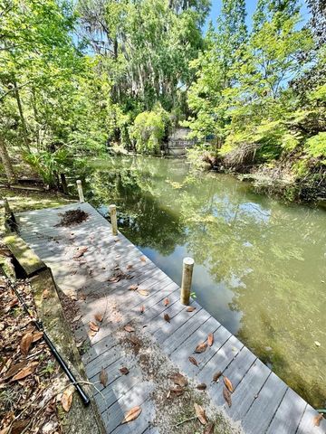 30391 NE 97TH PLACE, Salt Springs, FL 32134
