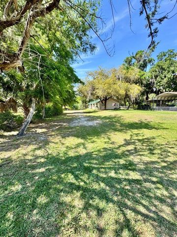 30391 NE 97TH PLACE, Salt Springs, FL 32134