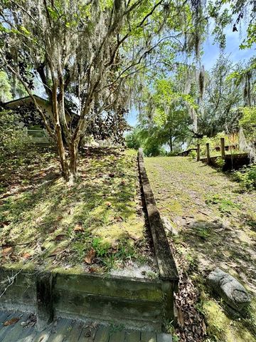 30391 NE 97TH PLACE, Salt Springs, FL 32134