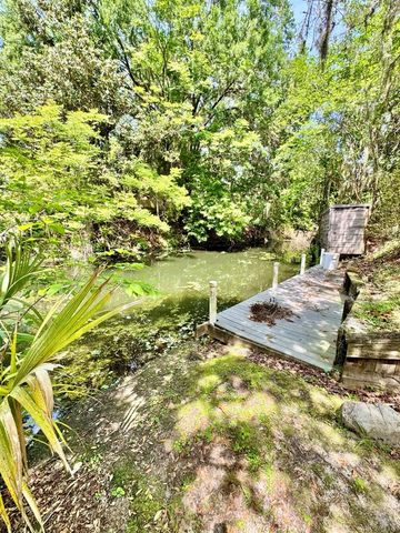 30391 NE 97TH PLACE, Salt Springs, FL 32134