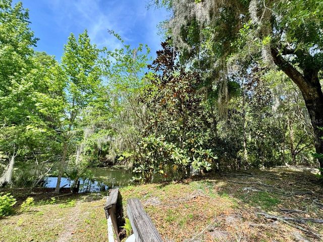 30391 NE 97TH PLACE, Salt Springs, FL 32134
