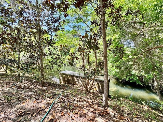 30391 NE 97TH PLACE, Salt Springs, FL 32134