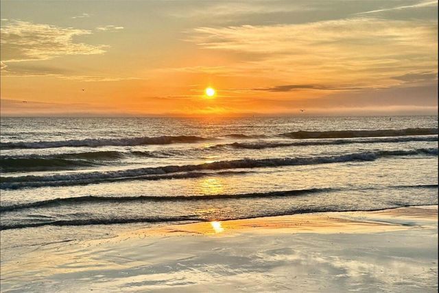 6738 AVENUE D, Sarasota, FL 34231