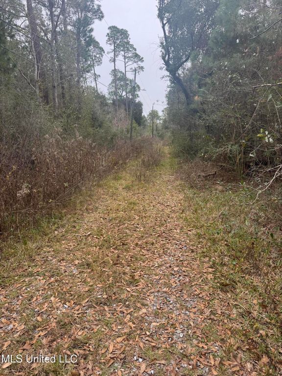 121 Pinecone Street, Pass Christian, MS 39571