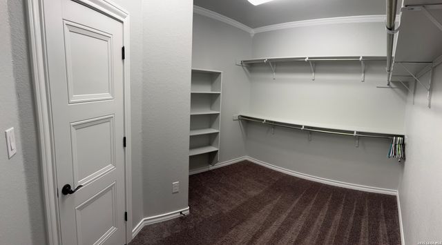 31029 Clover Pass, Bulverde, TX 78163