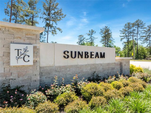 14204 Bright Dawn Drive, Splendora, TX 77372