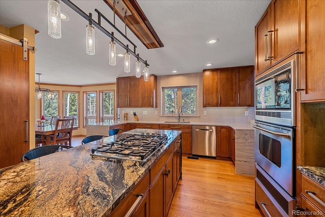 9948 S Turkey Creek Road, Morrison, CO 80465