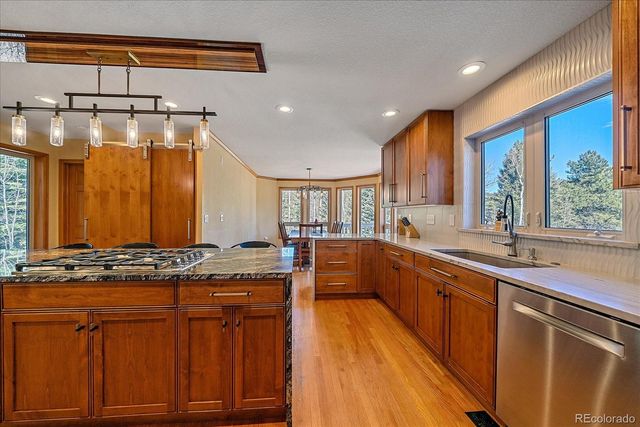 9948 S Turkey Creek Road, Morrison, CO 80465