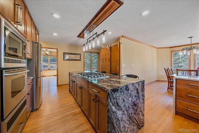 9948 S Turkey Creek Road, Morrison, CO 80465