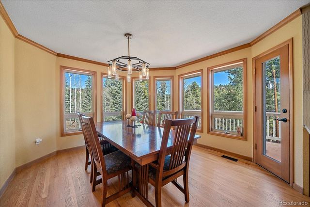 9948 S Turkey Creek Road, Morrison, CO 80465