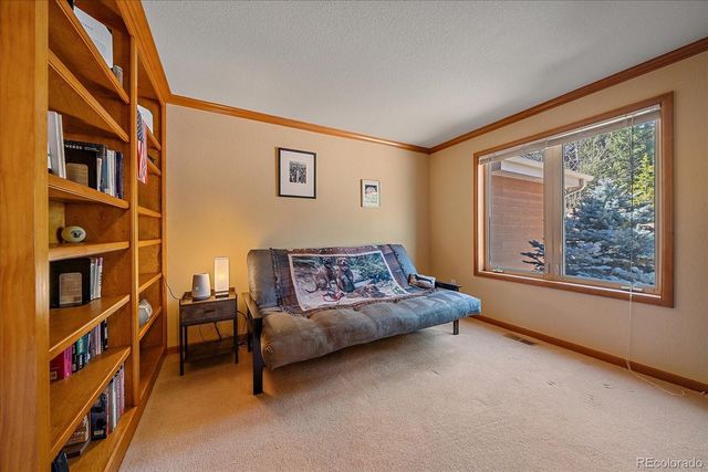 9948 S Turkey Creek Road, Morrison, CO 80465