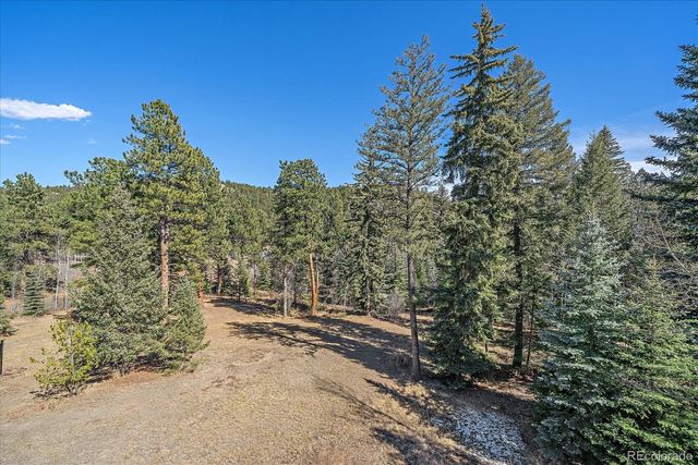 9948 S Turkey Creek Road, Morrison, CO 80465