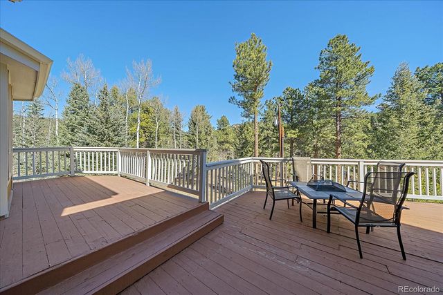 9948 S Turkey Creek Road, Morrison, CO 80465