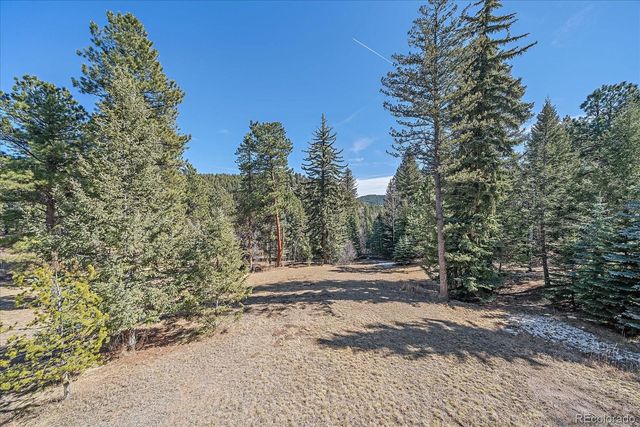9948 S Turkey Creek Road, Morrison, CO 80465