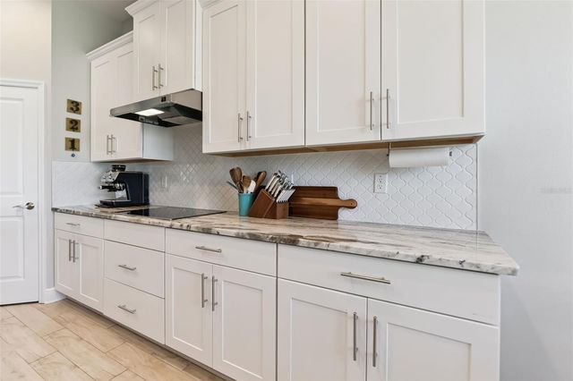 7256 HEATHER SOUND LOOP, Wesley Chapel, FL 33545