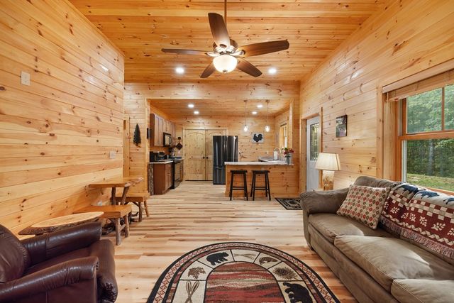 179 Cessna Loop, Blue Ridge, GA 30513