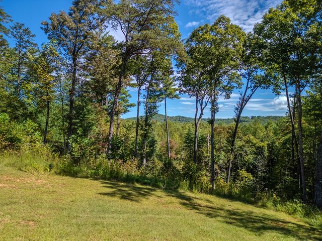 179 Cessna Loop, Blue Ridge, GA 30513
