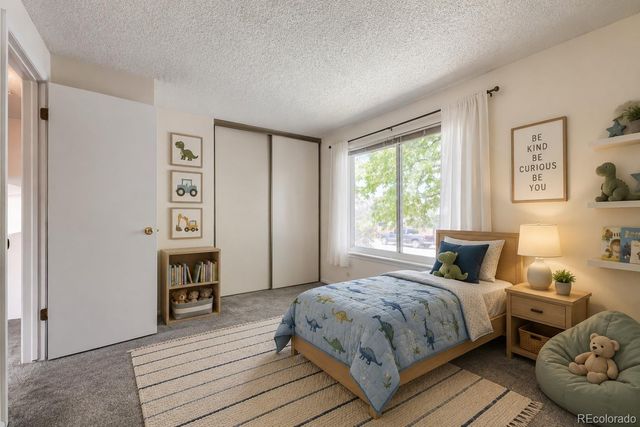 11713 Briarwood Drive, Denver, CO 80233