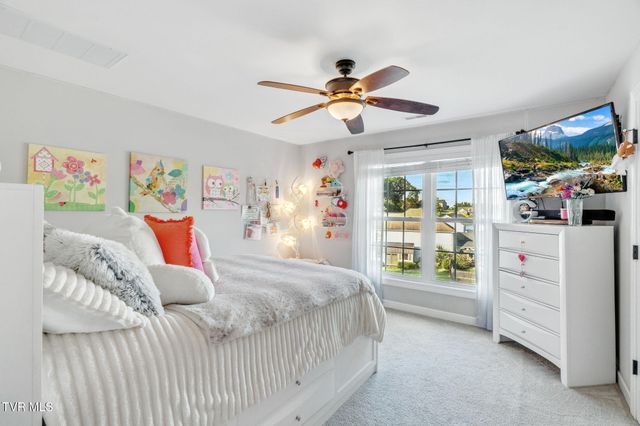 356 Cameron Court, Jonesborough, TN 37659