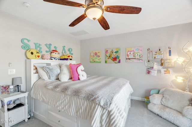 356 Cameron Court, Jonesborough, TN 37659