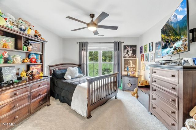 356 Cameron Court, Jonesborough, TN 37659