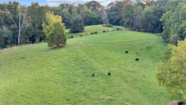 356 Cameron Court, Jonesborough, TN 37659