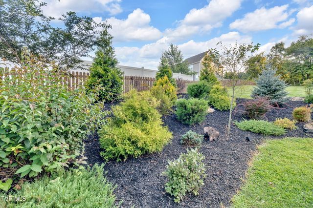 356 Cameron Court, Jonesborough, TN 37659