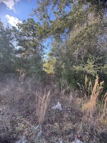 35361 KRAMER STREET, Webster, FL 33597