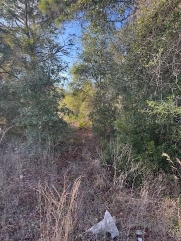 35361 KRAMER STREET, Webster, FL 33597