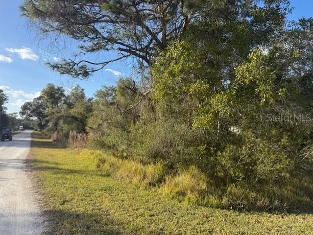 35361 KRAMER STREET, Webster, FL 33597