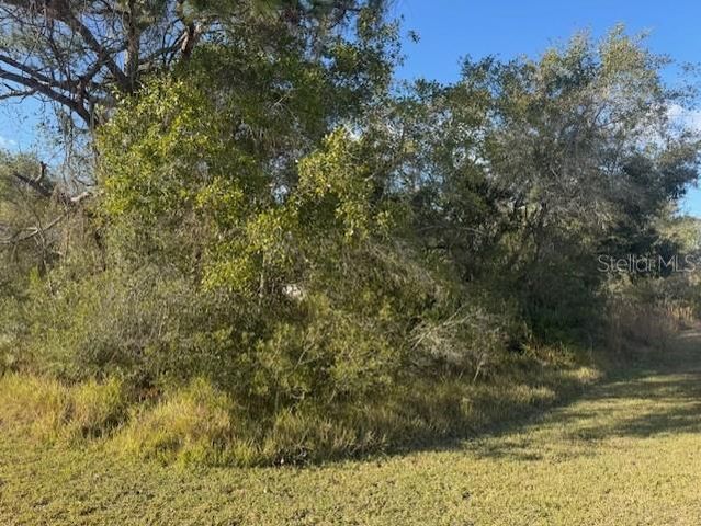 35361 KRAMER STREET, Webster, FL 33597