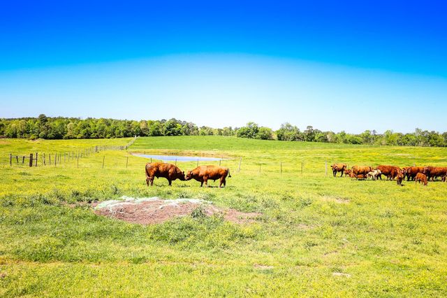 2128 FM 3359, Carthage, TX 75633