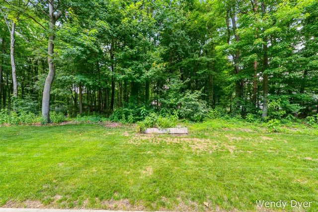 6681 Wood Hollow Court, Allendale, MI 49401