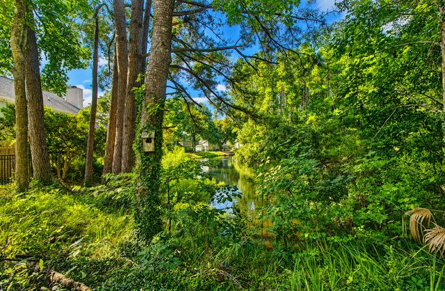 1281 Horseshoe Bend, Mount Pleasant, SC 29464