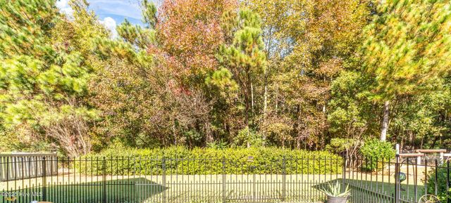 1197 Slater Way, Leland, NC 28451