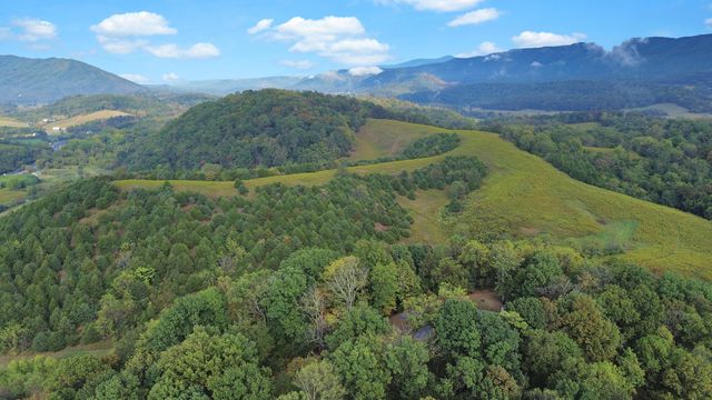 411 Hardbarger RD, Buchanan, VA 24066