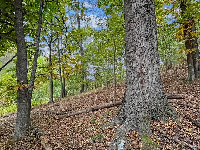 411 Hardbarger RD, Buchanan, VA 24066