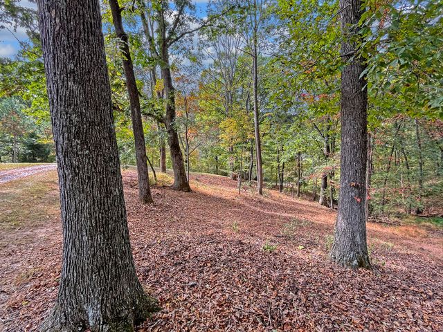 411 Hardbarger RD, Buchanan, VA 24066