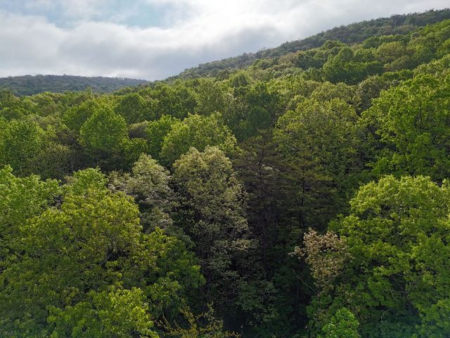 L93-95 Timberline, Young Harris, GA 30582