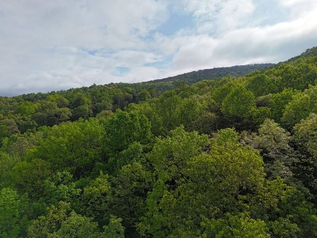 L93-95 Timberline, Young Harris, GA 30582