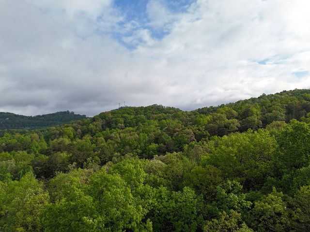 L93-95 Timberline, Young Harris, GA 30582