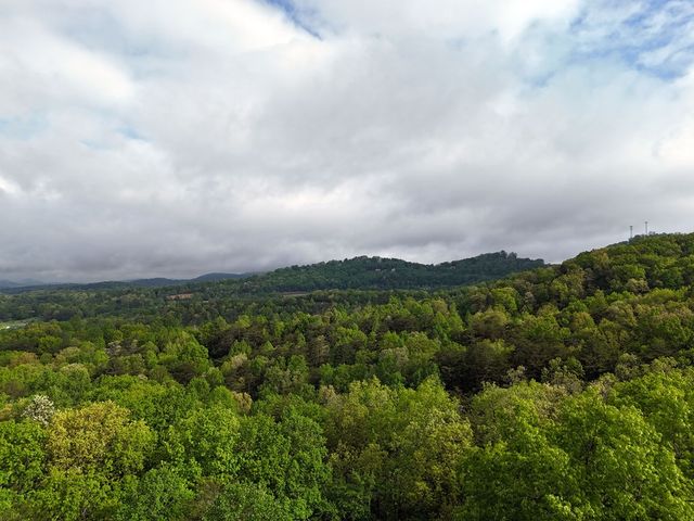 L93-95 Timberline, Young Harris, GA 30582
