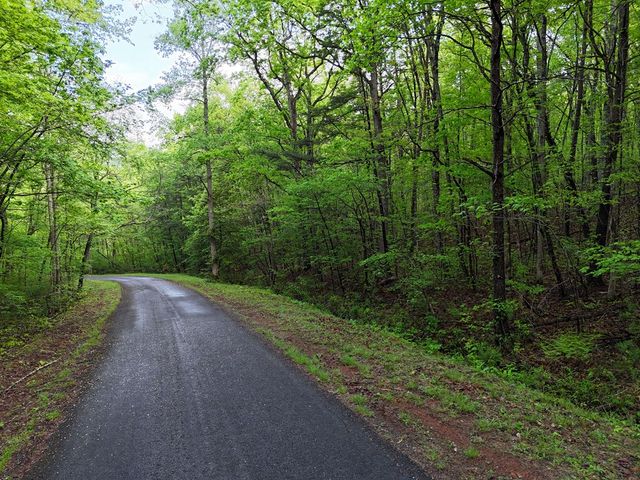 L93-95 Timberline, Young Harris, GA 30582
