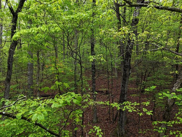 L93-95 Timberline, Young Harris, GA 30582