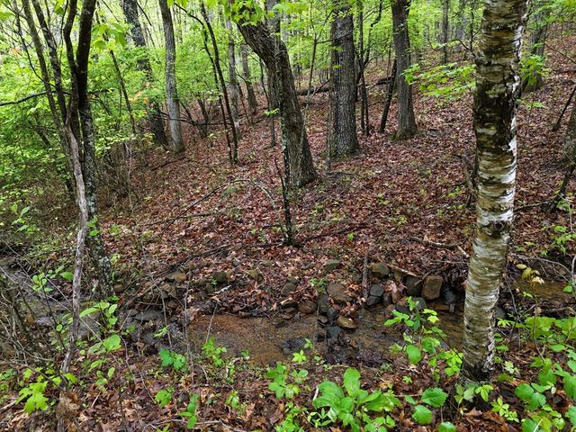L93-95 Timberline, Young Harris, GA 30582