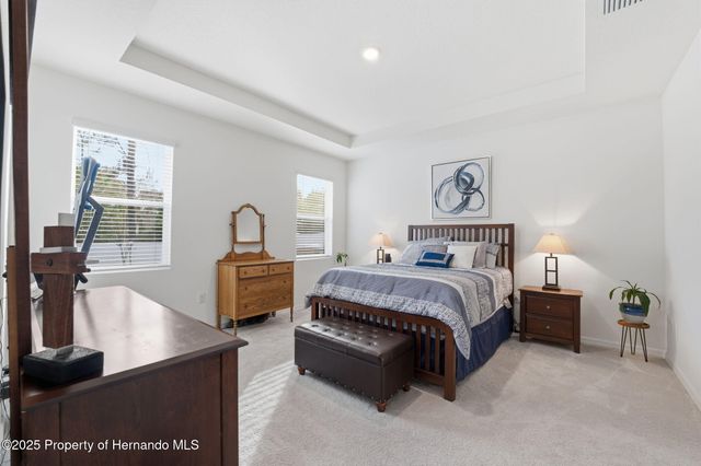 3843 Autumn Amber Dr Drive, Spring Hill, FL 34609