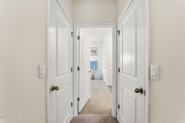 3843 Autumn Amber Dr Drive, Spring Hill, FL 34609