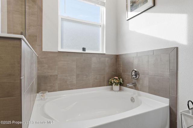 3843 Autumn Amber Dr Drive, Spring Hill, FL 34609