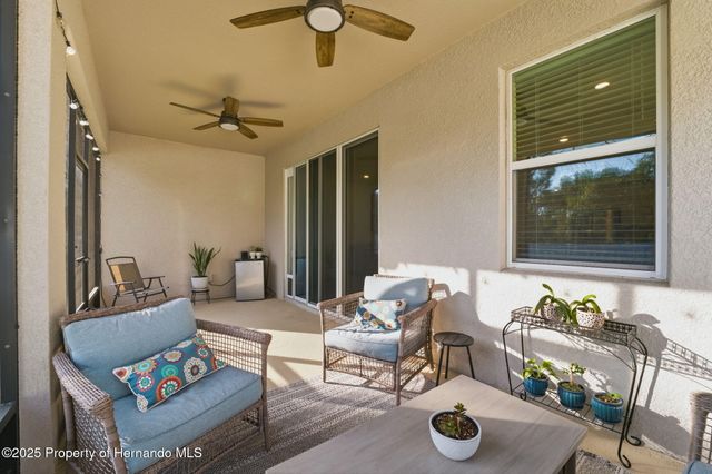 3843 Autumn Amber Dr Drive, Spring Hill, FL 34609