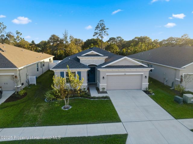 3843 Autumn Amber Dr Drive, Spring Hill, FL 34609
